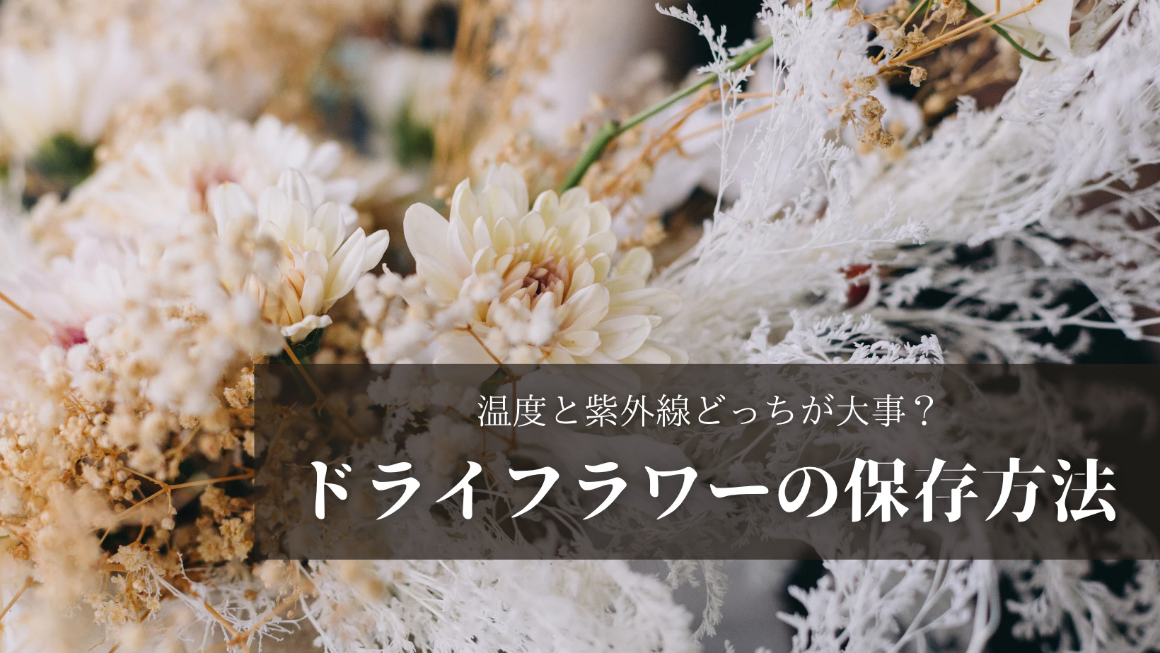 温度と紫外線で比較 ドライフラワーの最適な保存場所を調査 小さなお庭ラボ